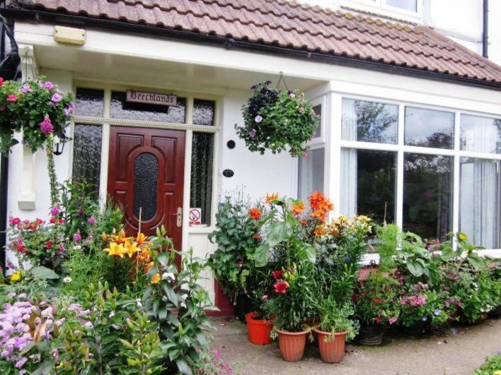 Beechlands B & B Sleights ภายนอก รูปภาพ