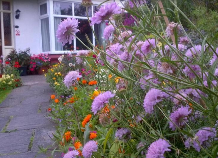 Beechlands B & B Sleights ภายนอก รูปภาพ